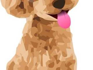 玩具狮子狗拉出