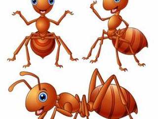 导航套的例证棕色蚂蚁动画片