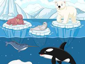 在北极的动画片狂放的北极动物