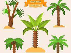 绿色棕榈树