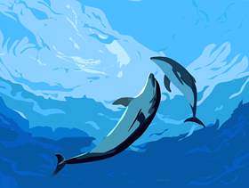 海豚在切海里玩