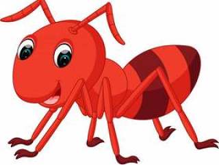 红蚂蚁卡通