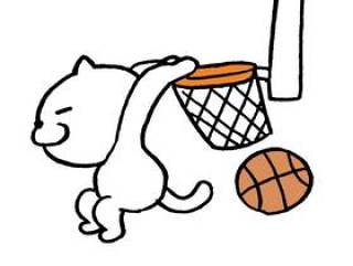 猫篮球