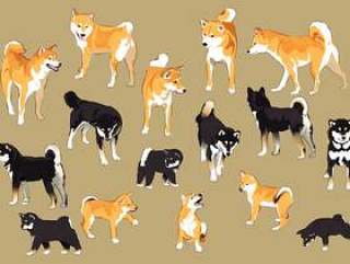 柴犬列表