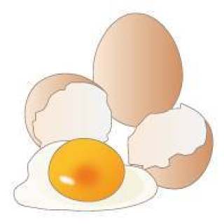 食物过敏显示义务货物_鸡蛋