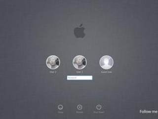 《Lion Login Window（PSD）》