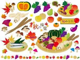 秋天的蔬菜和水果