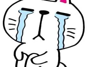 猫⑤伤心