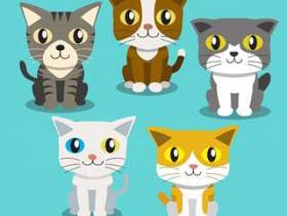 卡通猫站