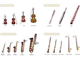 木管乐器和仪器串在白色背景集合