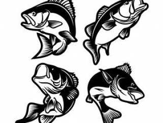 黑色和白色的大鲈鱼一套。钓鱼标志