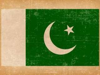 巴基斯坦的那些旗子