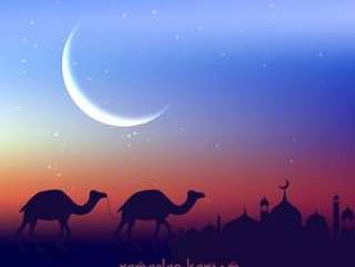 骆驼走在晚上与清真寺