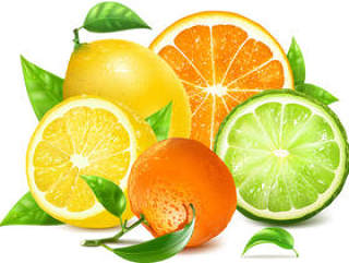 新鲜橙子和柠檬
