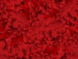 红色菊花花无缝的背景