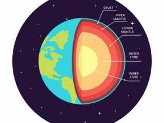 地球传染媒介Infographic的结构