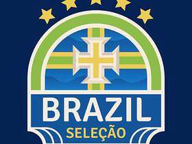 巴西世界杯足球徽章