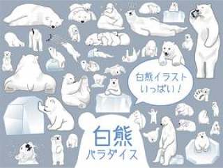 白熊北极熊插图