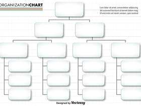矢量简单组织结构图