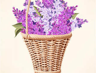 紫丁香花篮矢量