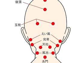 要点10 - 在脑后的穴位