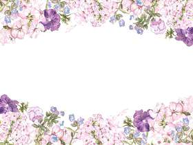 花框架214 - 爱兰草和三色紫罗兰花框架