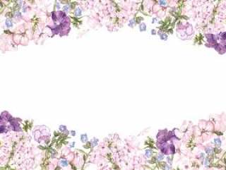 花框架214 - 爱兰草和三色紫罗兰花框架