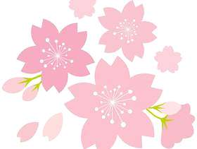 樱花樱花樱花春天花图标粉红色的季节性的感觉