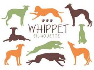 Whippet狗剪影矢量