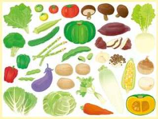 蔬菜插图（无国界）