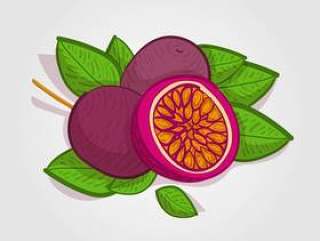  百香果矢量图