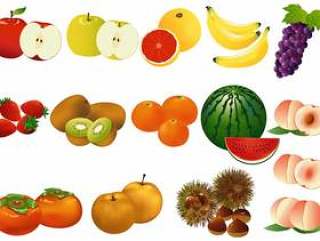 水果材料总结