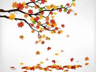与落的叶子的秋天分支