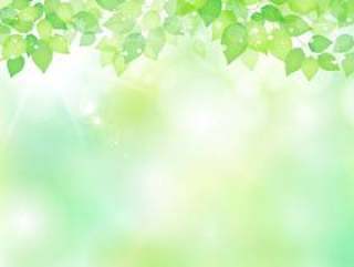 新的绿色材料225