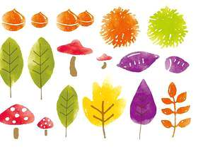 秋天的落叶和食物的水彩画集合