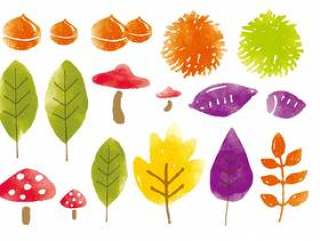 秋天的落叶和食物的水彩画集合