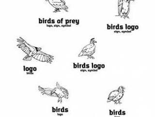 Hand-drawn pencil graphics. Birds of prey set.
