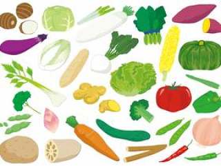 各种各样的蔬菜