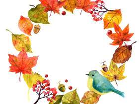 鸟和秋天的树叶的礁框架