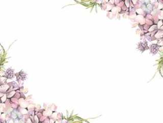花框架143 - 绣球花和香葱花框架