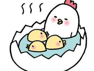 鸡的父母和孩子洗澡