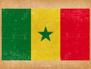 塞内加尔的Grunge旗子