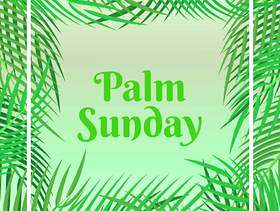 棕榈星期天假日卡与棕榈叶边框背景