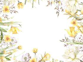 早春的花园水仙花花架