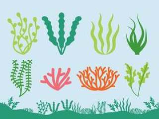海植物图标