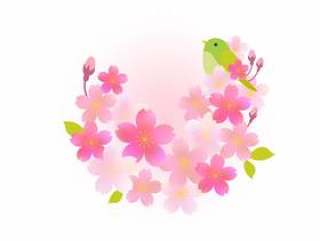 桜397