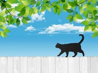 新鲜的绿色与黑猫和白色的木栅栏