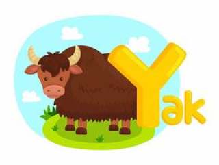 字母表Y与牦牛的图片