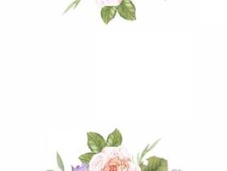 花框架207 - 与玫瑰色的玫瑰花框架