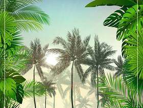 与棕榈树和叶子的热带早晨风景